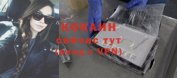стаф Алзамай
