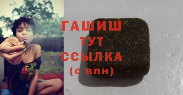 стаф Алзамай